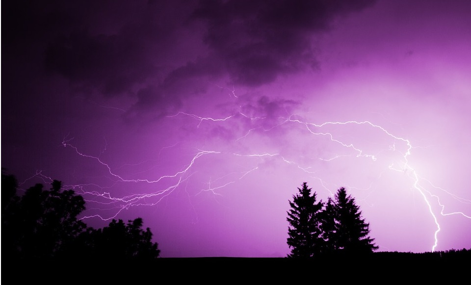 Purple lightning over trees