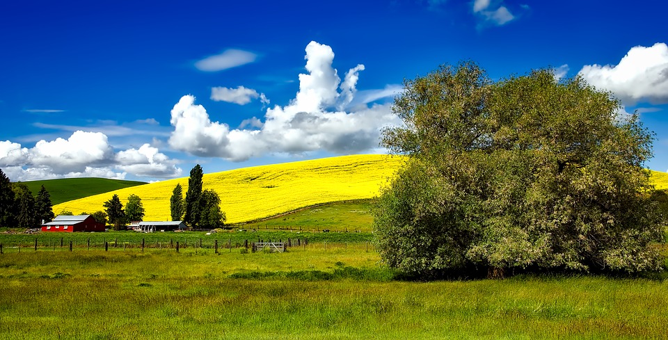 Charming Idaho Countryside