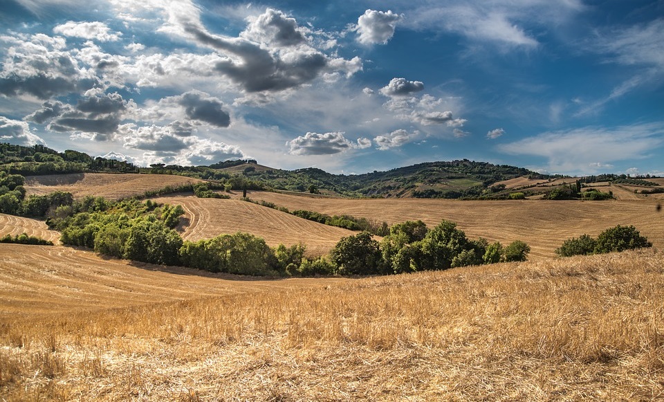 Rolling brown hills in the countryside